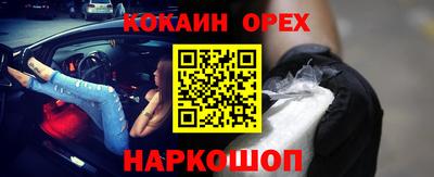 молекула духа Кингисепп