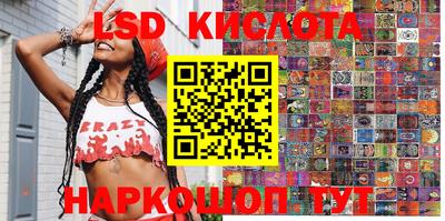 молекула духа Кингисепп
