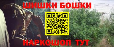 молекула духа Кингисепп