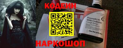 молекула духа Кингисепп