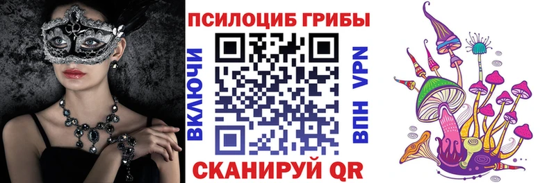 blacksprut как зайти  Коряжма  Галлюциногенные грибы прущие грибы 