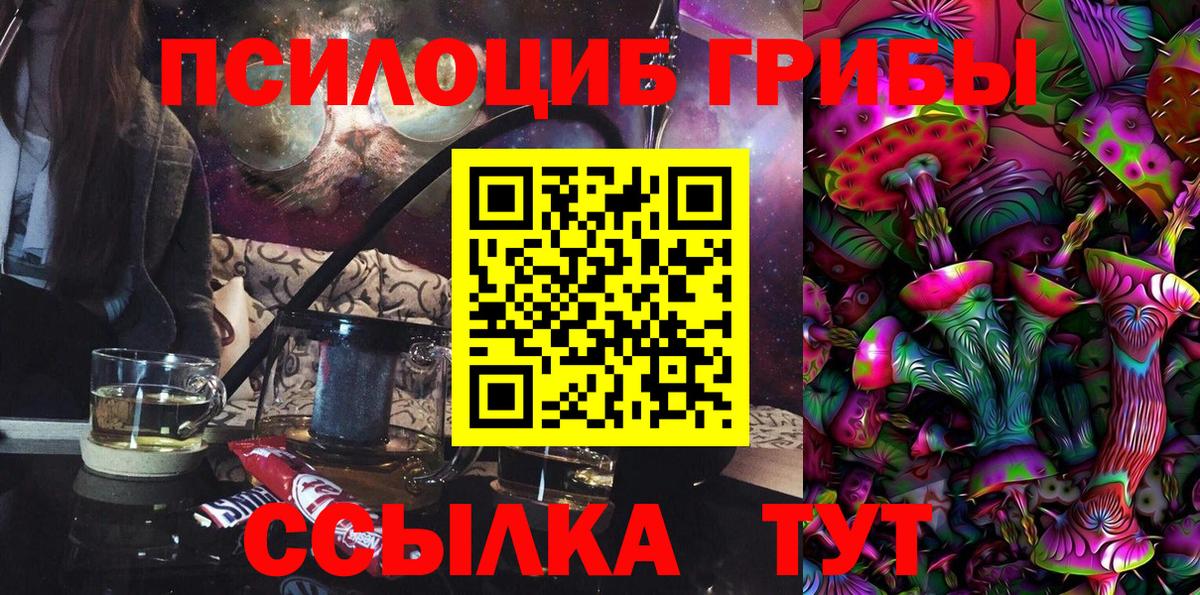 Галлюциногенные грибы Psilocybine cubensis Коряжма
