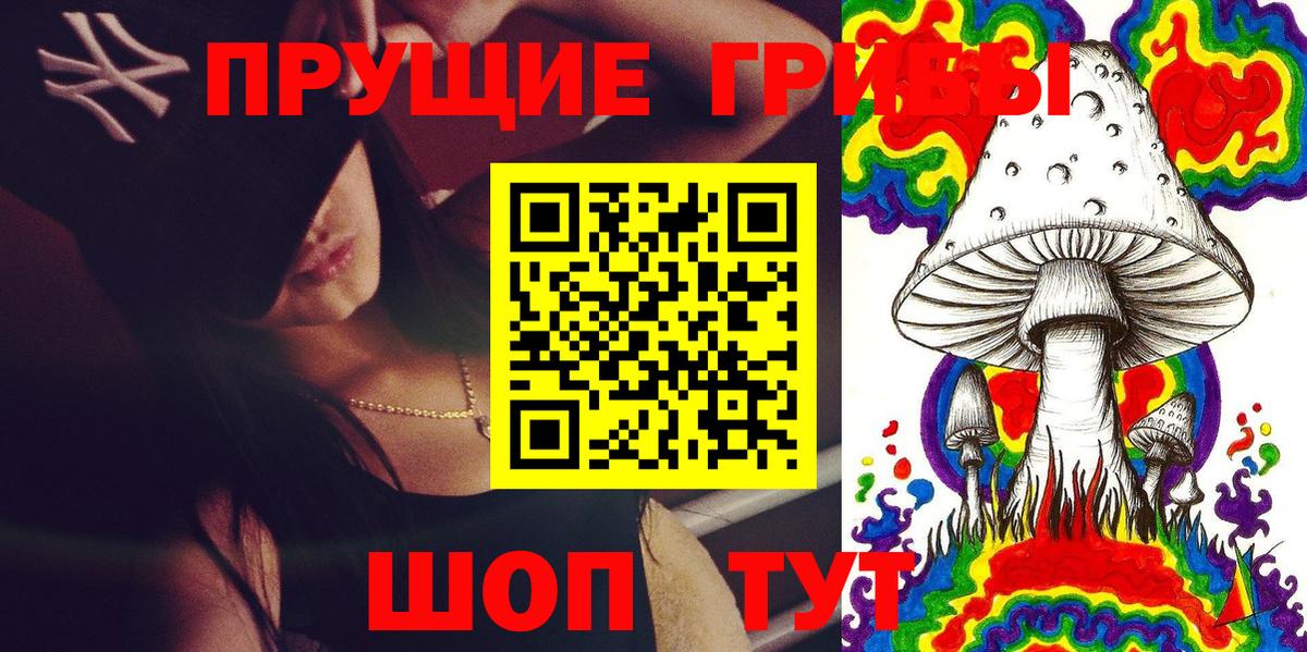 Коряжма  Галлюциногенные грибы Psilocybine cubensis  Вход с VPN 